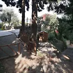 Il Giardino Del Nespolo