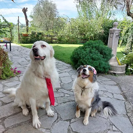 Affittacamere Il Giardino Del Nespolo