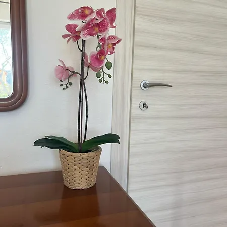 Il Giardino Del Nespolo Аркола