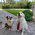 Il Giardino Del Nespolo 3* أركولا